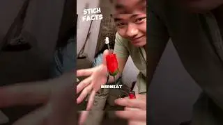 Setidaknya Dia sudah mencoba 😔