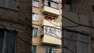 Вечеринка во время коронавируса