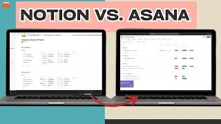 Notion vs Asana  Which one's the best for Project Management