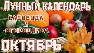 🌙ЛУННЫЙ КАЛЕНДАРЬ САДОВОДА И ОГОРОДНИКА 🍇НА ОКТЯБРЬ МЕСЯЦ🌕ПОДЗИМНИЙ ПОСЕВ СЕМЯН