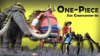 one piece size comparison | one piece height comparison