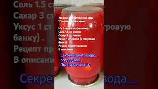 Томаты в собственном соку 