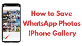 How to Save WhatsApp Photos in gallery in iPhone | Save WhatsApp images in gallery in iPhone - 2024