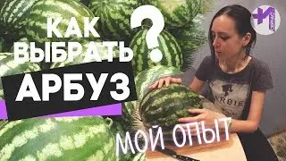 Как выбрать арбуз-девочку. ТОП советов! Мой опыт. Очень-очень вкусный, спелый и сладкий.