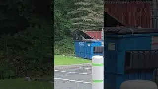 THIS GUY HAS NO FEAR FOR NO ONE