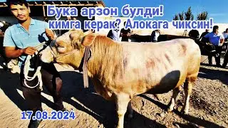 Карши туман Ковчин мол бозори нархлари 17.08.2024