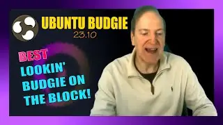 🔥 Ubuntu Budgie 23.10 - A Quick First Look