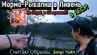 Мормо-Рыбалка в Ливень в Лесу! | Считаю Обрывы.. | Бонус Ушёл..!?