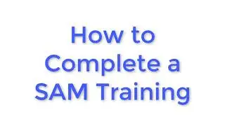 CIS 110 - Completing a SAM Training