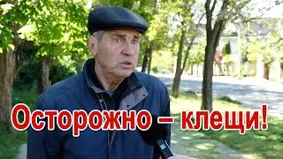 Опасная трава: в Рени сотрудники ЖКС уничтожают места обитания клещей