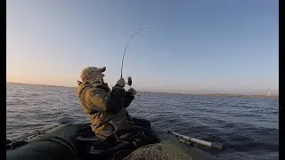 ВОТ ЭТО ДАВИТ. РЫБАЛКА НА СПИННИНГ. СУДАК В МОЛОКЕ