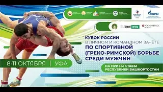 Кубок России по греко-римской борьбе. Ковёр C. День 2