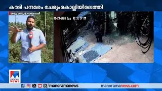 വയനാട് ജനവാസ മേഖലയിലൂടെ യാത്ര തുടര്‍ന്ന് കരടി; നാലാം ദിനവും തിരച്ചില്‍ ​|Wayanad Bear