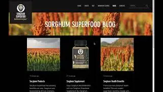 Wix SEO - Blog Writing Tips for SEO