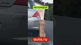 Переделывай😼