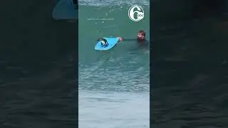 SURF'S UP! A cheeky African penguin caught a ride on a bodyboard off the coast of Cape Town