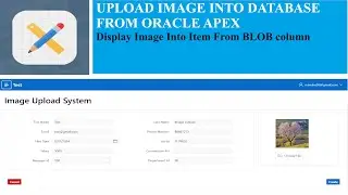 Oracle Apex Image Upload- Tips and Trics || Display Image From Database into Item
