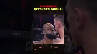 Угомонил Дерзкого Бойца!