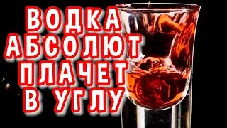 ⚡ЭТА ВОДКА НРАВИТСЯ ВСЕМ. ДОМАШНЯ ЧЕРНОСМОРОДИНОВАЯ ВОДКА #мужскоехобби #самогон #настойка #водка