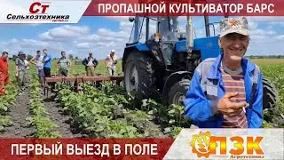 Пропашной культиватор БАРС первый выезд, результат.