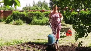 ВЛОГ. Сырники с ПАЛЬМОВЫМ маслом/ 8 кг лука-севка , где посадить?/ОдинПИОН