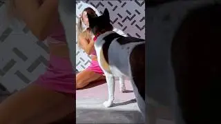 Workout Interrupted! 😂 Dog vs. Beautiful Girl's Fitness Routine 