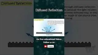 Reflection | Diffused Reflection | Reflection of Light | Properties of Light | Science