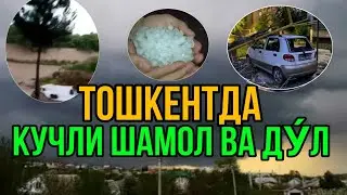 БУГУН ТОШКЕНТДЕГИ ОФАТ БАЛОСИ.