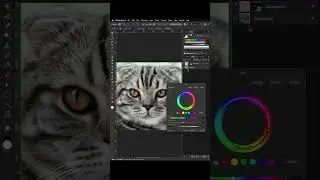 How to Change Eye Color | Affinity Photo Tutorial