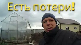 Есть потери!!!