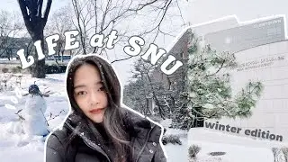 a day in my life: seoul national university MBA ✨ 서울대학생 브이로그 | EP. 007 [INDO SUB]