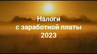 НДФЛ и страховые взносы 2023 + 📚Удобная статья-справочник + 🔥Бесплатный ПРАКТИКУМ на Stepik!