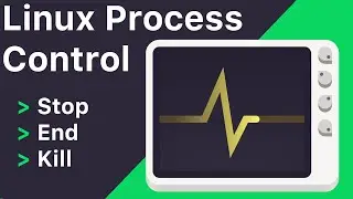 How to Stop/End/Kill Processes on Linux for Beginners (Ubuntu 20.04) - Savvy Tip #2