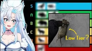 The City Animal Tier List - I BET FOXES ARE THE BEST! || Tier Zoo React