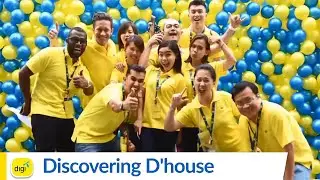 Discover D'house