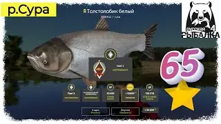 Russian Fishing 4, #РР4.. 65⭐Юбилейный Белый Толстолобик - р.Сура. Русская рыбалка 4 #рр4