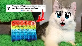 POP IT УПРАВЛЯЕТ МОЕЙ ЖИЗНЬЮ 24 часа ! ЧЕЛЛЕНДЖ от ПОДПИСЧИКОВ с ПОП ИТ для КОШЕЧКИ МУРКИ