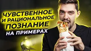🥙 Что такое Чувственное познание и Рациональное познание? | ЕГЭ по Обществознанию