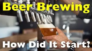 How did Brewing Beer Start? (1.1)