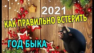 Год Быка: как правильно встретить Новый 2021 год?