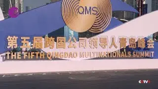 Multinational Executives Gather at Summit in China's Qingdao