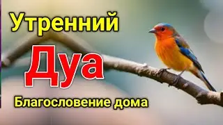 утренний дуа. дуа каждое утро