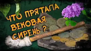 # ШУРФ / СИРЕНЬ ХРАНИЛА ЭТИ АРТЕФАКТЫ МНОГО ЛЕТ.