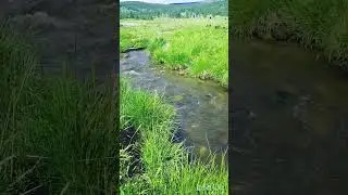ГОРНЫЙ АЛТАЙ / В МАРАЛЬНИКЕ