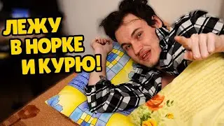 ОБЗОР НА САМЫЕ КРЕПКИЕ СИГАРЕТЫ В МИРЕ! NATURAL AMERICAN SPIRIT BLACK ИЗ США!