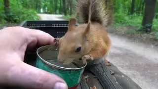 Копия Копии пришла попить водички / Copy of copy came to drink some water