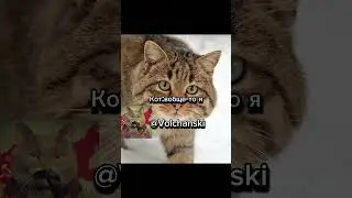 Кто милее? #мем
