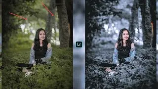 Silver Tone Photo Editing Tutorial | Silver Tone Preset - Urban Editz