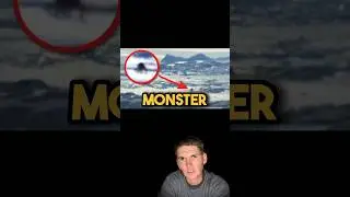 Antarctica Giant Spider Cryptid Explained 😟