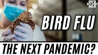 I looked at the recent bird flu data, and now Im really scared.